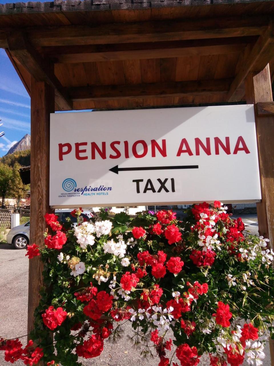 Pension & Appartament Anna Prettau Exterior foto